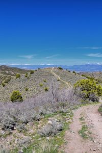 Hiking trails in oquirrh, wasatch, rocky mountains utah yellow fork and rose canyon salt lake city.