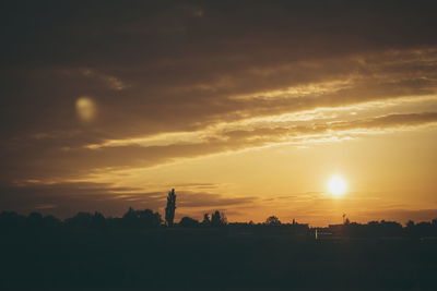 Silhouette of trees at sunset