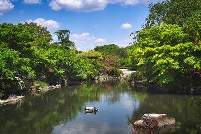 Scenic view of lake by trees against sky