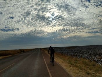 Rear view of man riding bicycle on road against sky