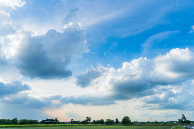Panoramic view of trees on field against sky