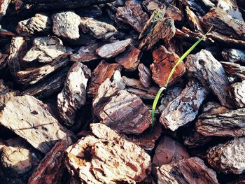 Full frame shot of firewood