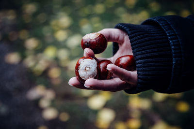 Close-up of hand holding fruit