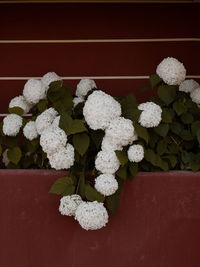 High angle view of christmas decorations