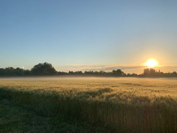 Scenic view of field against sky during sunset