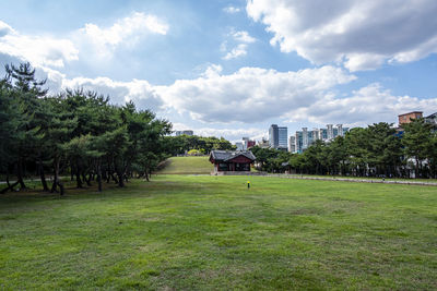 Trees and plants on field against sky