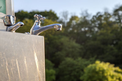 Low angle view of faucets against trees on sunny day