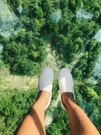 Low section of woman over trees in forest