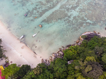 High angle view of trees on beach