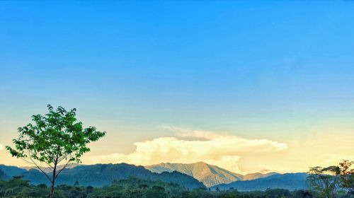 Scenic view of mountains against blue sky