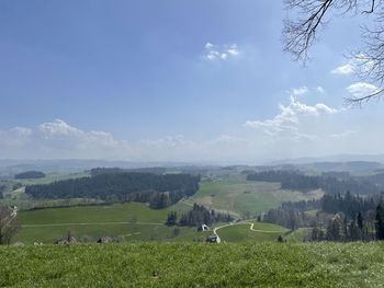 Scenic view of field against sky