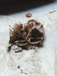 High angle view of dry leaf on table