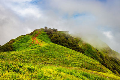 Mountain with green grass and thick clouds