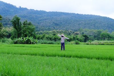 Scarecrow on agricultural field