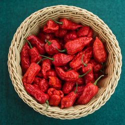 High angle view of strawberries in basket