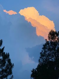 Low angle view of silhouette trees against sky