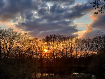 Silhouette trees against dramatic sky during sunset