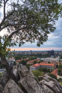 High angle view of trees and buildings against sky