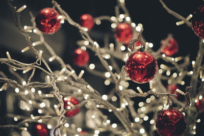 Close-up of christmas lights hanging on tree