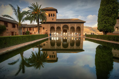 Reflection of palm trees in swimming pool