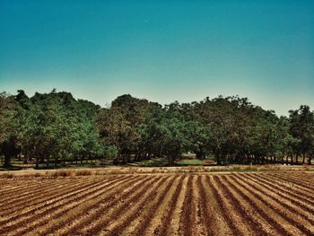 Scenic view of field against cloudy sky