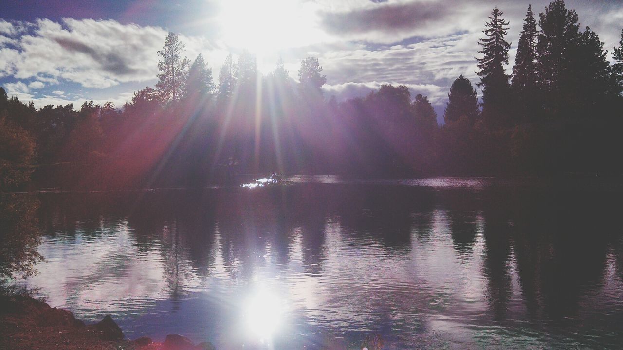 sun, water, reflection, sunbeam, tree, tranquility, tranquil scene, sunlight, lake, beauty in nature, scenics, sky, lens flare, nature, waterfront, idyllic, cloud - sky, river, bright, sunset