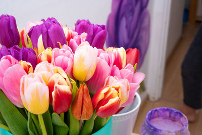 Close-up of pink tulips