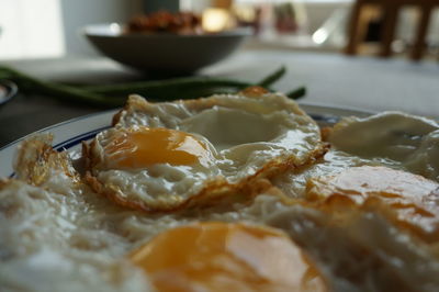 Close-up of food served in plate