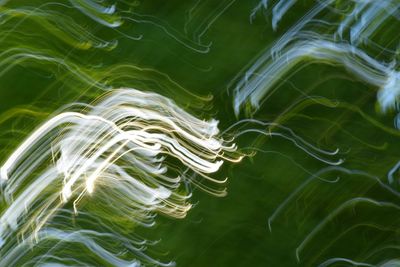 High angle view of turtle in sea