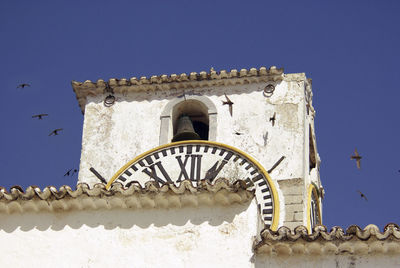 A bell tower with watch on top of a building, with a flock of swallows flying around the tower