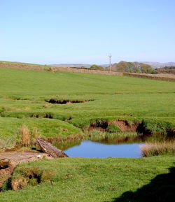 Scenic view of landscape against clear sky