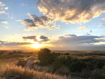 Scenic view of field against sky during sunset