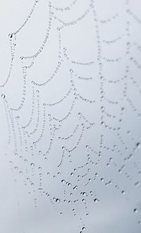Close-up of spider web against sky