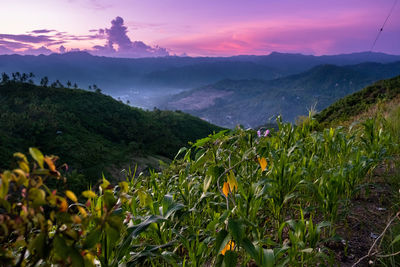 Scenic view of mountains against sky during sunset