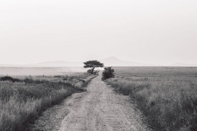 Scenic view of field against clear sky