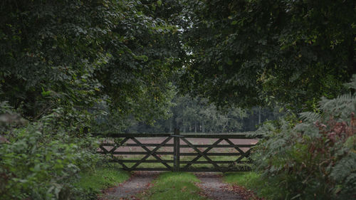 Gate amidst trees against sky