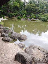 Reflection of trees in water