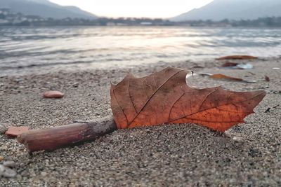 Close-up of sand on beach