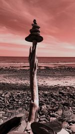 Driftwood on beach against sky during sunset