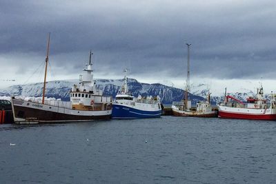 Sailboats moored at harbor