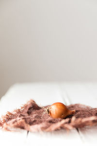 Close-up of crab over white background