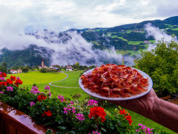 Person holding ice cream by plants against sky