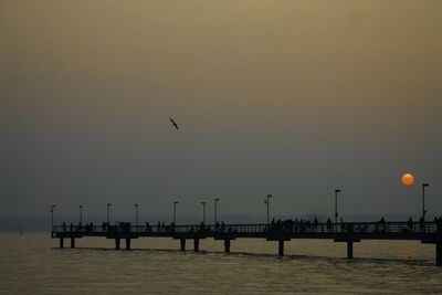 Silhouette birds flying over sea against clear sky at sunset