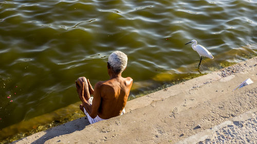 High angle view of bird in lake