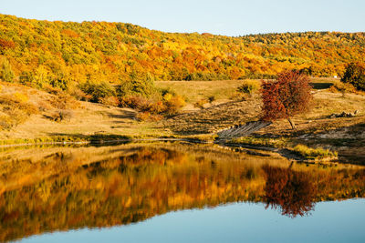 Scenic view of lake against sky during autumn