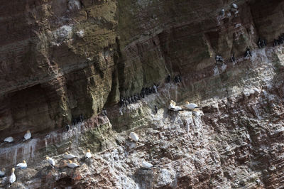 Low angle view of cave