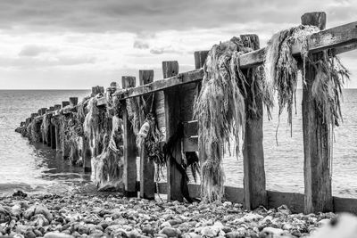 Wooden fence in sea against sky