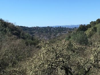 Scenic view of landscape against clear sky