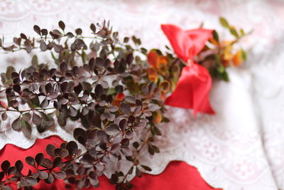 Close-up of rose bouquet