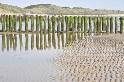 Wooden posts on beach against sky